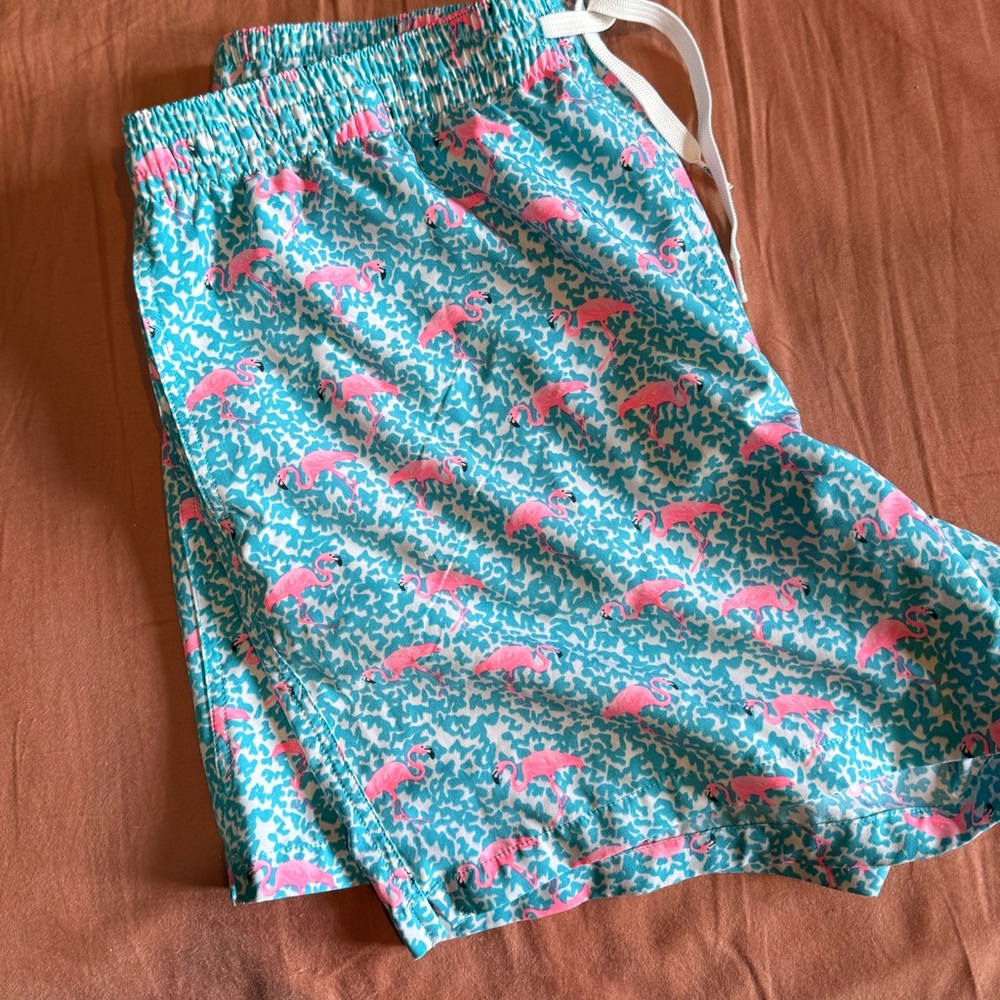 Chubbies Swim Trunks